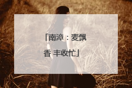 南漳：麦飘香 丰收忙