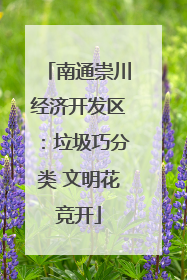 南通崇川经济开发区：垃圾巧分类 文明花竞开