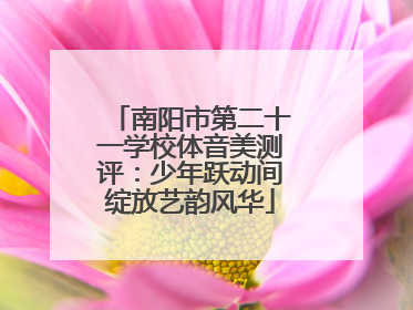 南阳市第二十一学校体音美测评：少年跃动间绽放艺韵风华