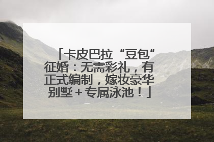 卡皮巴拉“豆包”征婚：无需彩礼，有正式编制，嫁妆豪华别墅＋专属泳池！