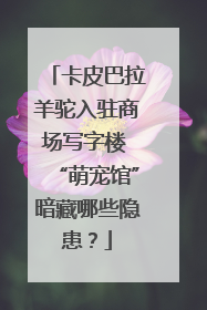 卡皮巴拉羊驼入驻商场写字楼 “萌宠馆”暗藏哪些隐患？