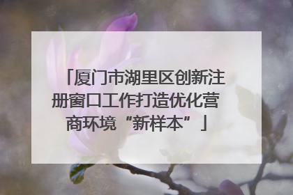 厦门市湖里区创新注册窗口工作打造优化营商环境“新样本”