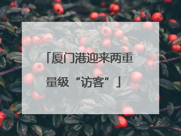 厦门港迎来两重量级“访客”