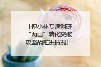 傅小林专题调研“两山”转化突破攻坚战推进情况