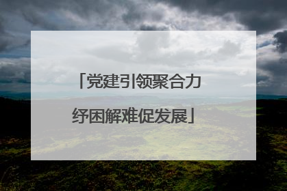 党建引领聚合力 纾困解难促发展