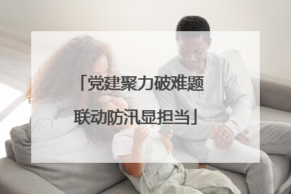 党建聚力破难题 联动防汛显担当