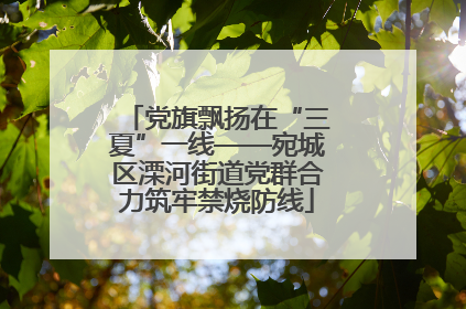 党旗飘扬在“三夏”一线——宛城区溧河街道党群合力筑牢禁烧防线