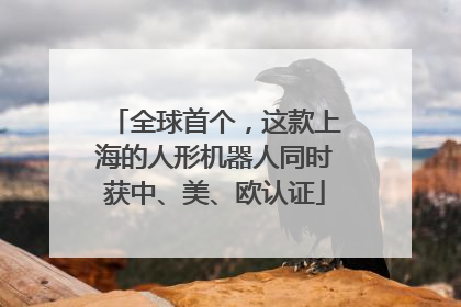全球首个，这款上海的人形机器人同时获中、美、欧认证