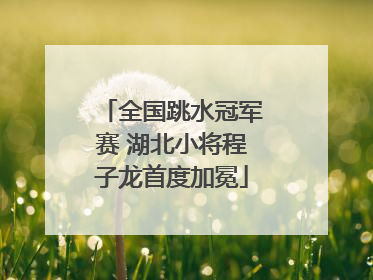 全国跳水冠军赛 湖北小将程子龙首度加冕
