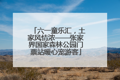 六一童乐汇，土家风情浓——张家界国家森林公园门票站暖心宠游客