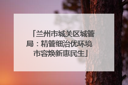 兰州市城关区城管局：精管细治优环境 市容焕新惠民生