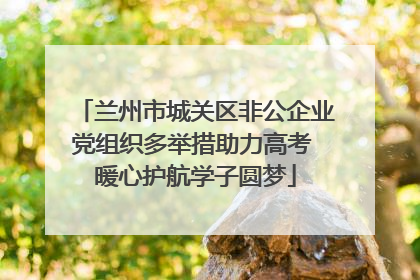 兰州市城关区非公企业党组织多举措助力高考 暖心护航学子圆梦