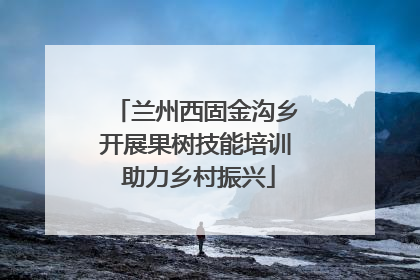 兰州西固金沟乡开展果树技能培训 助力乡村振兴