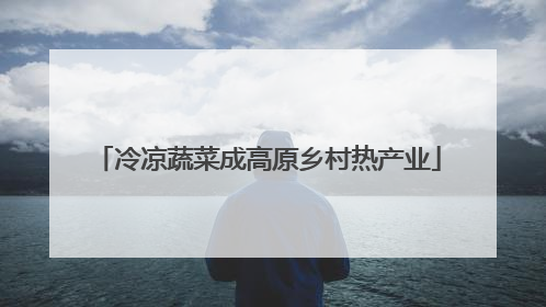 冷凉蔬菜成高原乡村热产业