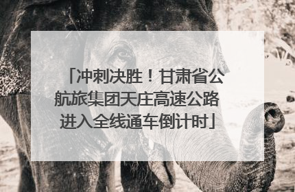 冲刺决胜！甘肃省公航旅集团天庄高速公路进入全线通车倒计时