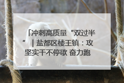 冲刺高质量“双过半”｜盐都区楼王镇：攻坚实干不停歇 奋力跑赢“上半场”