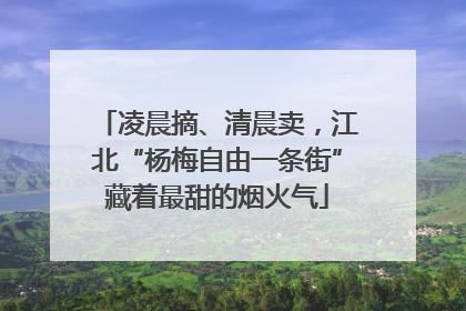 凌晨摘、清晨卖，江北“杨梅自由一条街”藏着最甜的烟火气