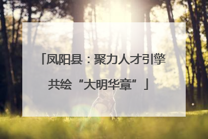 凤阳县：聚力人才引擎 共绘“大明华章”