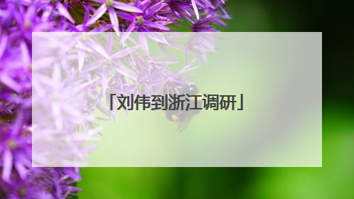 刘伟到浙江调研