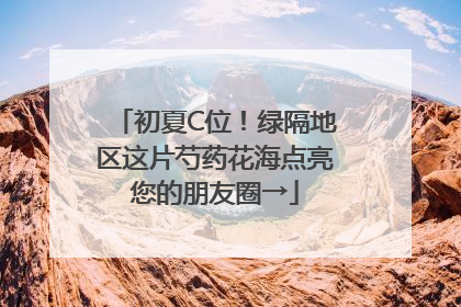 初夏C位！绿隔地区这片芍药花海点亮您的朋友圈→