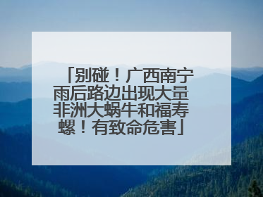 别碰！广西南宁雨后路边出现大量非洲大蜗牛和福寿螺！有致命危害