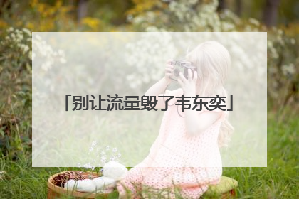 别让流量毁了韦东奕