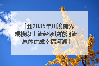 到2035年川渝跨界规模以上流经场镇的河流总体建成幸福河湖