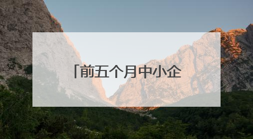 前五个月中小企业产业园入驻企业增长超三成