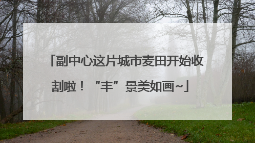 副中心这片城市麦田开始收割啦！“丰”景美如画~