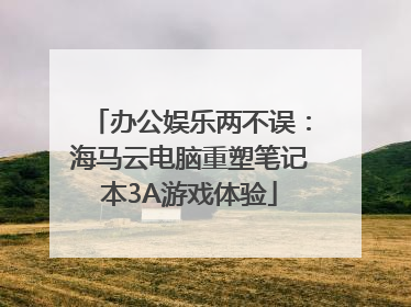 办公娱乐两不误：海马云电脑重塑笔记本3A游戏体验