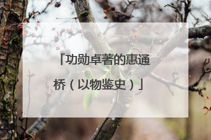 功勋卓著的惠通桥（以物鉴史）