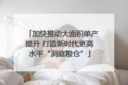 加快推动大面积单产提升 打造新时代更高水平“洞庭粮仓”