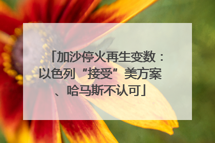 加沙停火再生变数：以色列“接受”美方案、哈马斯不认可