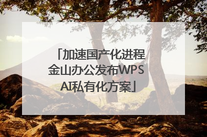 加速国产化进程 金山办公发布WPS AI私有化方案