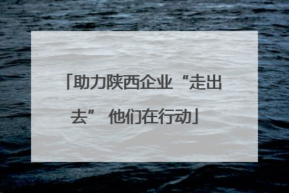 助力陕西企业“走出去” 他们在行动