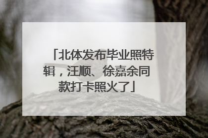 北体发布毕业照特辑，汪顺、徐嘉余同款打卡照火了