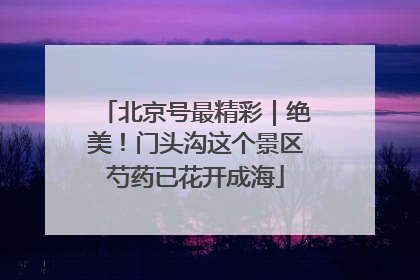 北京号最精彩｜绝美！门头沟这个景区芍药已花开成海