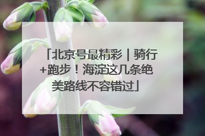 北京号最精彩｜骑行+跑步！海淀这几条绝美路线不容错过