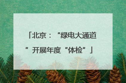北京：“绿电大通道”开展年度“体检”