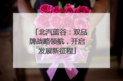 北汽蓝谷：双品牌战略领航，开启发展新征程