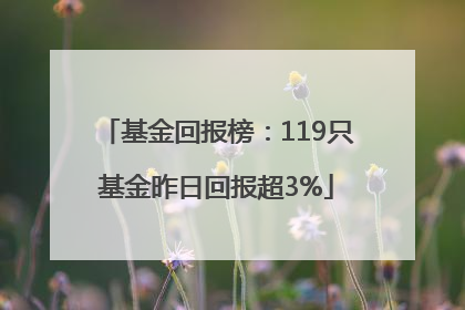 基金回报榜：119只基金昨日回报超3%