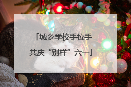 城乡学校手拉手 共庆“别样”六一