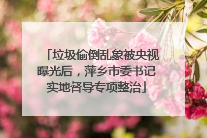 垃圾偷倒乱象被央视曝光后，萍乡市委书记实地督导专项整治