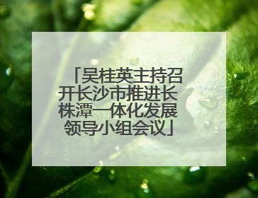 吴桂英主持召开长沙市推进长株潭一体化发展领导小组会议
