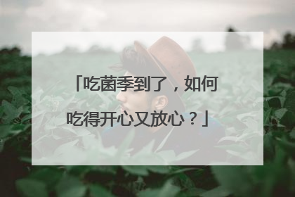 吃菌季到了，如何吃得开心又放心？