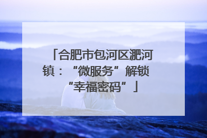 合肥市包河区淝河镇：“微服务”解锁“幸福密码”