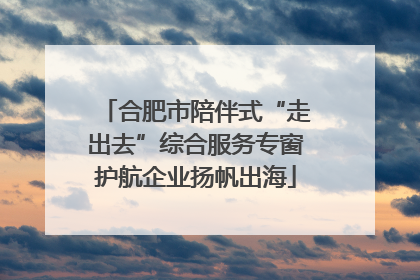 合肥市陪伴式“走出去”综合服务专窗护航企业扬帆出海