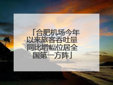 合肥机场今年以来旅客吞吐量同比增幅位居全国第一方阵