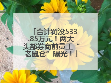 合计罚没533.85万元！两大头部券商前员工“老鼠仓”曝光！