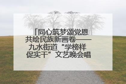 同心筑梦颂党恩 共绘民族新画卷——九水街道“学榜样 促实干”文艺晚会唱响民族团结主旋律
